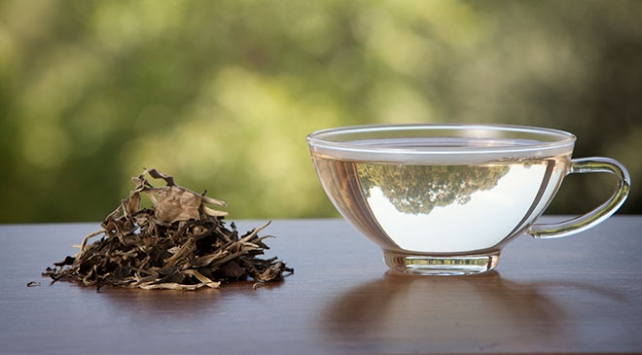 Beyaz çayın sağlığa faydaları araştırılıyor