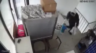 Kadıköy’de iş yerinden laptop hırsızlığı kamerada