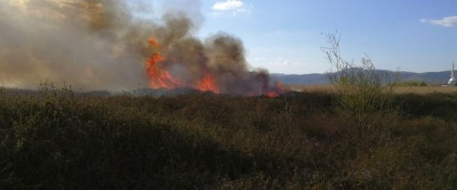 İznik Gölü yakınındaki sazlık alanda yangın