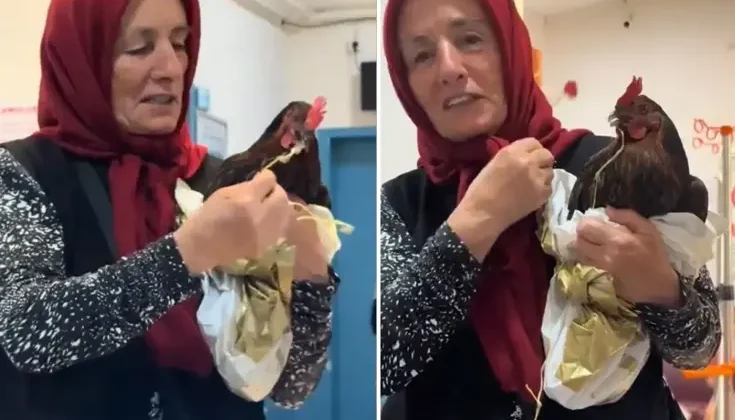 Tavuğunu devlet hastanesine götürdü, personelin cevabıyla hayal kırıklığına uğradı