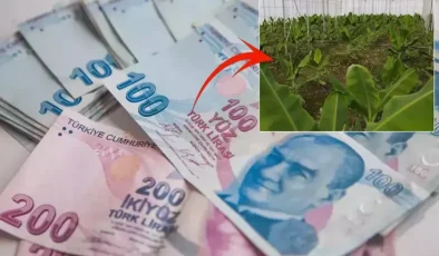 2019’da çektiği kredi ile hayatı değişti: Aylık 640 bin TL kazanıyorum