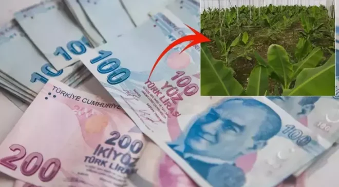 2019’da çektiği kredi ile hayatı değişti: Aylık 640 bin TL kazanıyorum