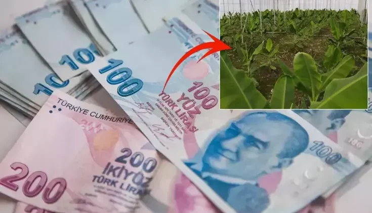 2019’da çektiği kredi ile hayatı değişti: Aylık 640 bin TL kazanıyorum